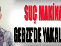 Suç Makinası Gebze'de Yakalandı!