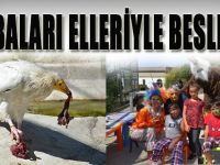 Akbabaları Elleriyle Beslediler