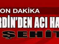 Mardin'den acı haber: 1 şehit