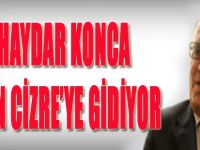 Ali Haydar Konca Bugün Cizre'ye Gidiyor