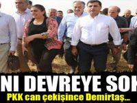 PKK can çekişince Demirtaş...