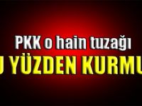 PKK o hain tuzağı bu yüzden kurmuş!