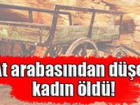 At arabasından düşen kadın öldü!