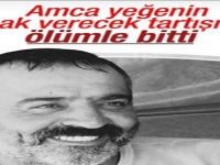 Amca yeğen kavgası ölümle bitti