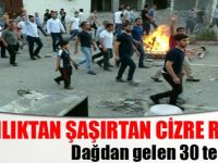 Bakanlıktan şaşırtan Cizre raporu!