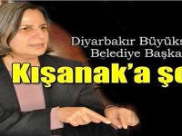 Diyarbakır Büyükşehir Belediye Başkanı'na şok!