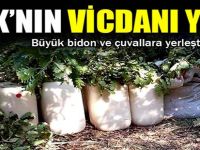 PKK'nın vicdanı yok!