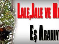 Lale,Jale ve Hale'ye Eş Aranıyor