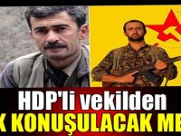 HDP'li vekilden çok konuşulacak mesaj