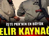 İşte PKK'nın en büyük gelir kaynağı!