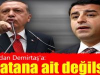 Erdoğan'dan Demirtaş'a: Bu vatana ait değilsiniz...