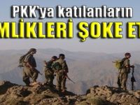 PKK'ya katılanların kimlikleri şoke etti!