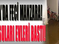 Darıca'da Feci Manzara!