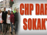 CHP Darıca Sokakta