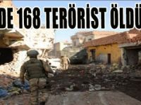 8 GÜNDE 168 PKK'LI ÖLDÜRÜLDÜ