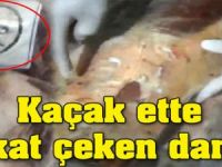 KAÇAK ETTE DİKKAT ÇEKEN DAMGA