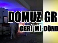 DOMUZ GRİBİ GERİ Mİ DÖNDÜ