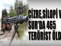 Cizre,Silopi Ve Sur'da 465 Terörist Öldürüldü