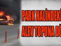 PARK HALİNDEKİ OTOMOBİL ALEV TOPUNA DÖNDÜ