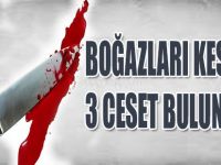 BOĞAZLARI KESİLMİŞ 3 CESET BULUNDU !