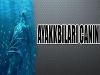 AYAKKABILARI CANINDAN ETTİ