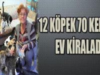 12 KÖPEK 70 KEDİ İÇİN EV KİRALADI !