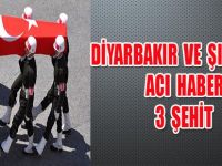 DİYARBAKIR VE ŞIRNAK'TAN ACI HABER