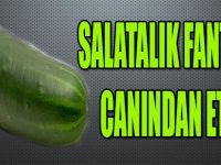 SALATALIK FANTAZİSİ CANINDAN ETTİ !