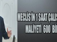 MECLİS'İN 1SAAT ÇALIŞMASININ BEDELİ 600 BİN TL