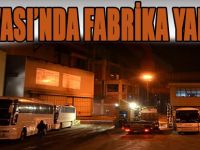 Dilovası'nda Fabrika Yangını!