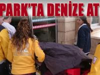 Sekapark'ta Denize Atladı!