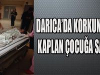 DARICA'DA KORKUÇ OLAY! KAPLAN ÇOCUĞA SALDIRDI