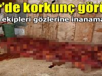 İzmir'de korkunç görüntü!