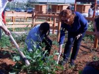 Gebze Teknik Üniversitesi’nde Hobi Bahçeleri