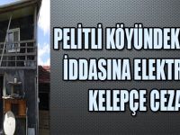 PELİTLİ KÖYÜNDEKİ TACİZ İDDASINA ELEKTRONİK KELEPÇE CEZASI