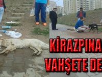 Kirazpınar'da Yine Vahşet!!!