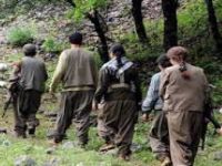 Muş'ta Terör rgütü PKK'ya Ağır Darbe