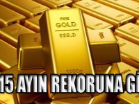 ALTIN 15 AYIN REKORUNA GİDİYOR