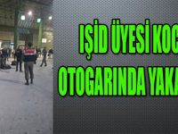 IŞİD Üyesi Kocaeli Otogarında Yakalandı