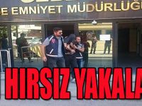 Seri hırsız yakalandı