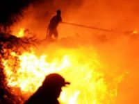 Bodrum'da Yangın Söndürülemiyor