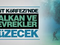 İzmit Körfezi’nde kalkan ve levrekler yüzecek