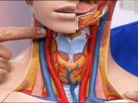 Şah damarınızı hiç kontrol ettirdiniz mi?