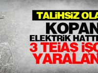 Kopan elektrik hattında 3 TEİAŞ işçisi yaralandı