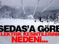 SEDAŞ'a göre elektrik kesintilerinin nedeni...