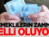 Emeklilerin zammı belli oluyor!