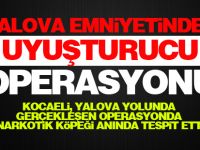 Yalova Emniyetinden uyuşturucu operasyonu