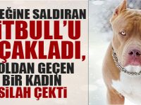 Köpeğine saldıran pitbull'u bıçaklayınca ortalık karıştı