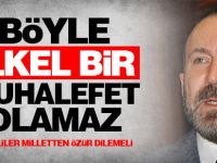 Nevzat Doğan: Böyle ilkel bir muhalefet olamaz