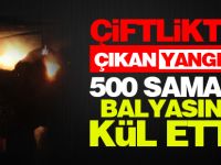 Çiftlikte çıkan yangın 500 saman balyasını kül etti